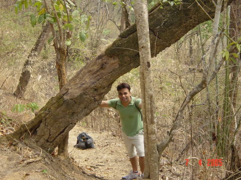 Day 2 - My First Chiang Mai Jungle Trekking : Thailand (Apr'05) 20