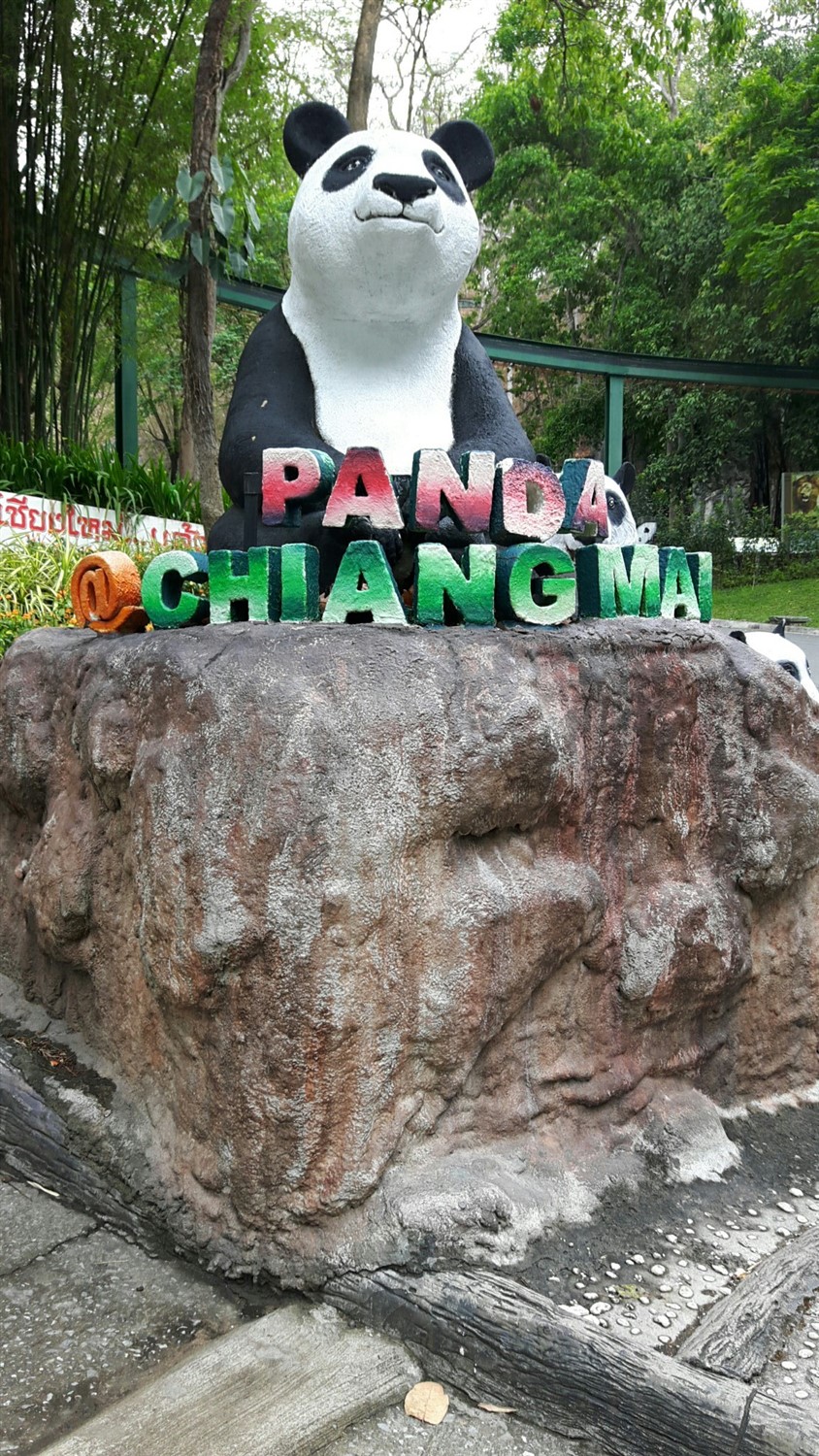 Day 4 - One Day Visit To Chiang Mai Zoo : Thailand (Apr'17) 18