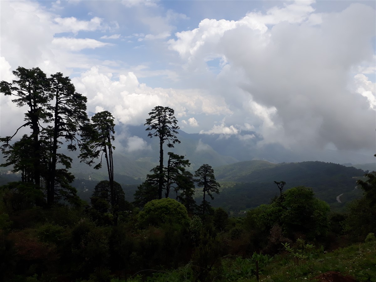 Day 2 - Next Day On The Way To Punakha : Bhutan (Jun’18) 4