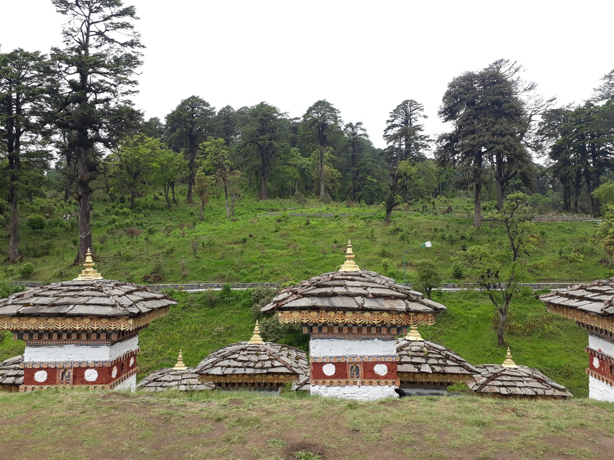 Day 2 - Next Day On The Way To Punakha : Bhutan (Jun’18) 11