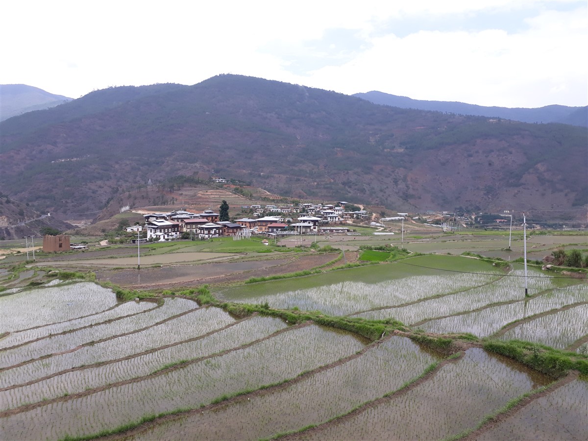 Day 2 - Next Day On The Way To Punakha : Bhutan (Jun’18) 33