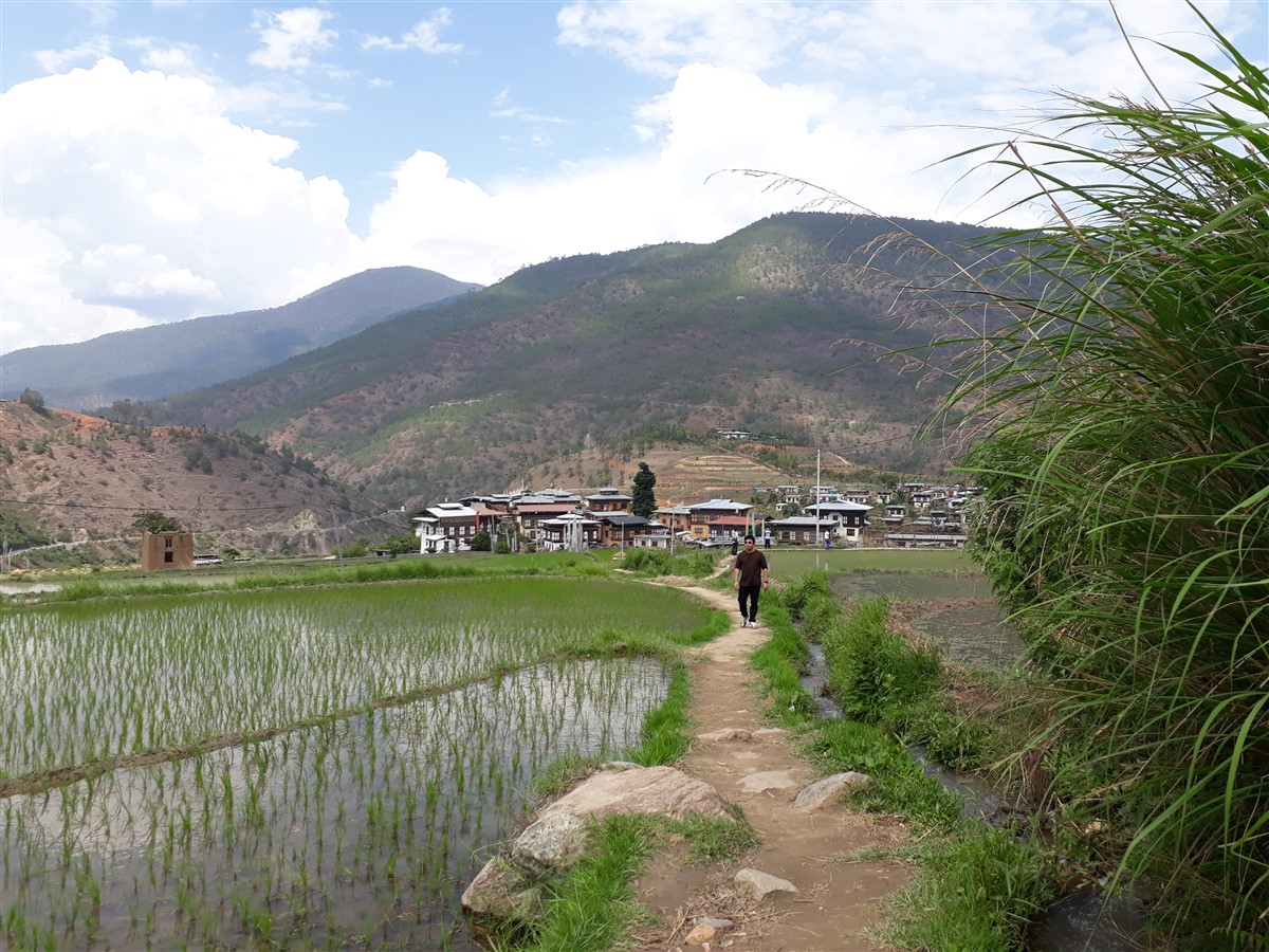 Day 2 - Next Day On The Way To Punakha : Bhutan (Jun’18) 43