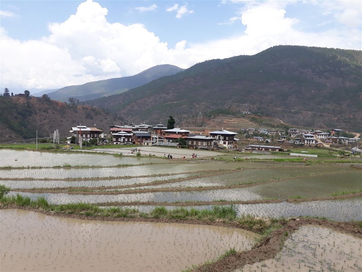 Day 2 - Next Day On The Way To Punakha : Bhutan (Jun’18) 41