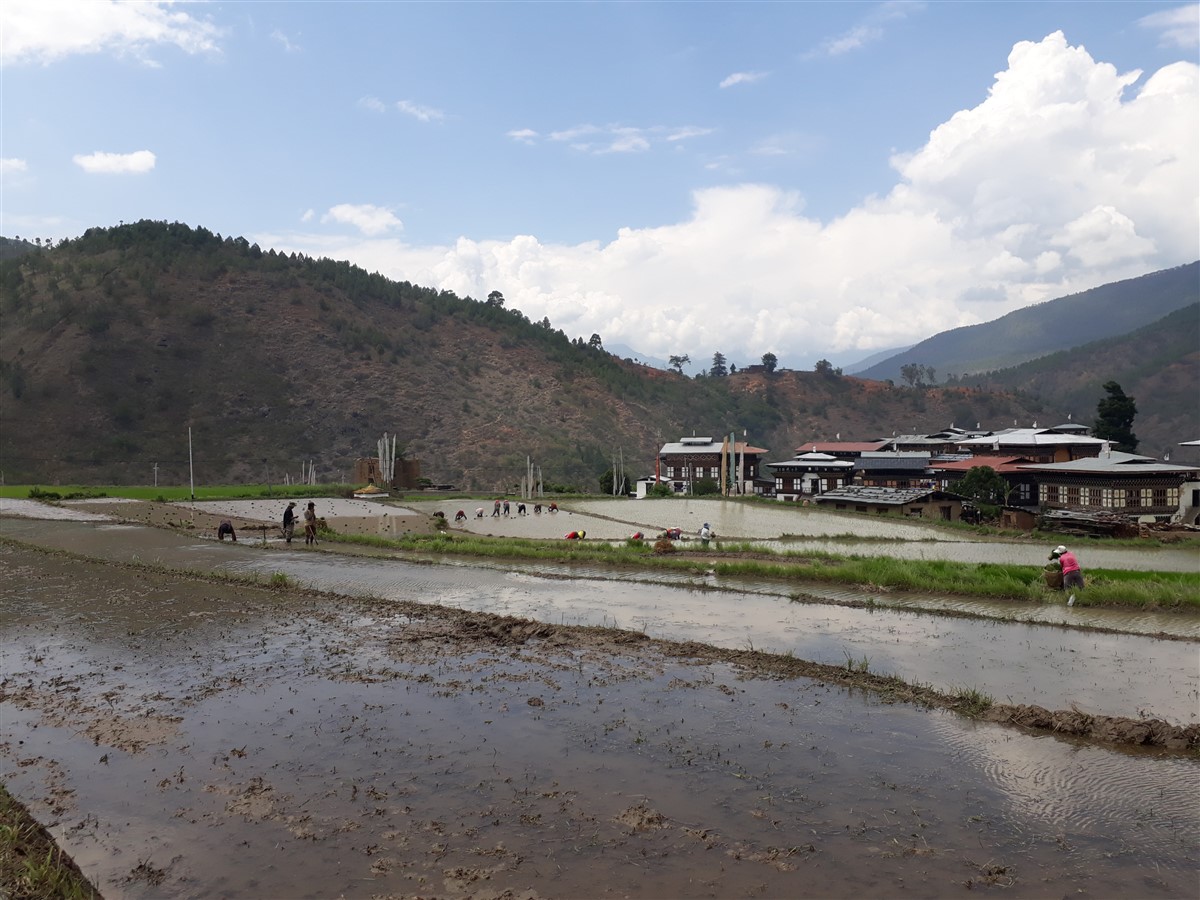 Day 2 - Next Day On The Way To Punakha : Bhutan (Jun’18) 40