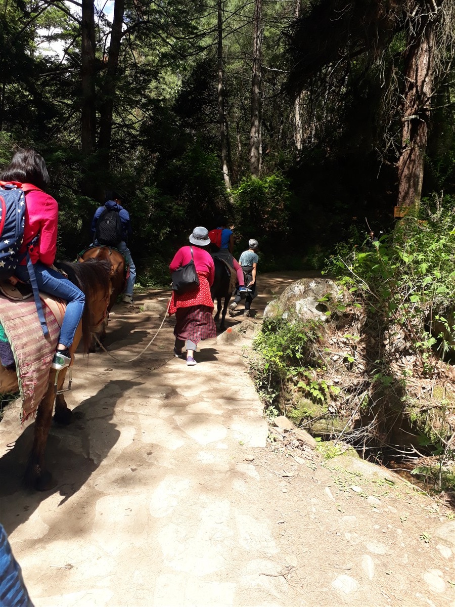 Day 4 - We Completed Hike To Paro Taktsang "Tiger Nest" : Bhutan (Jun'18) 14