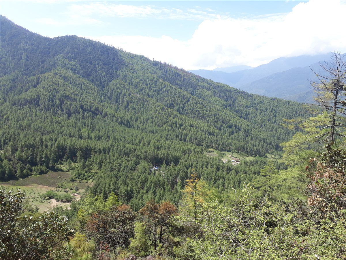 Day 4 - We Completed Hike To Paro Taktsang "Tiger Nest" : Bhutan (Jun'18) 13