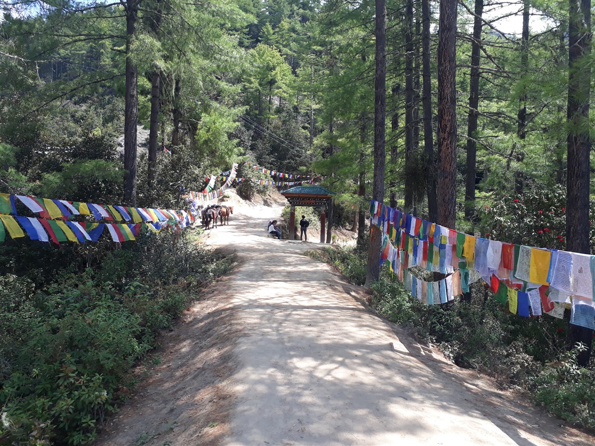 Day 4 - We Completed Hike To Paro Taktsang "Tiger Nest" : Bhutan (Jun'18) 21
