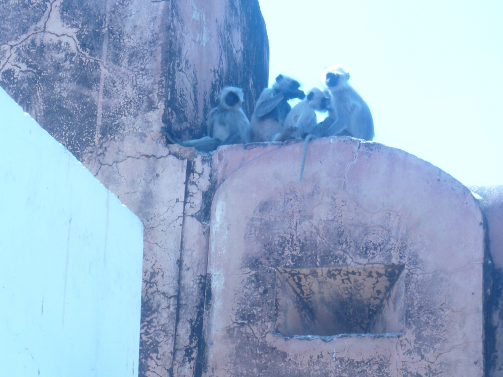 Day 4 - My Second Tour To Jaigarh Fort : Jaipur, India (Mar'11) 6