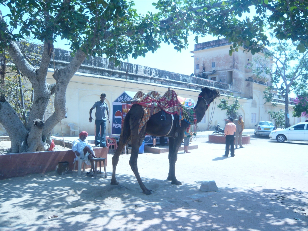 Day 4 - My Second Tour To Jaigarh Fort : Jaipur, India (Mar'11) 29