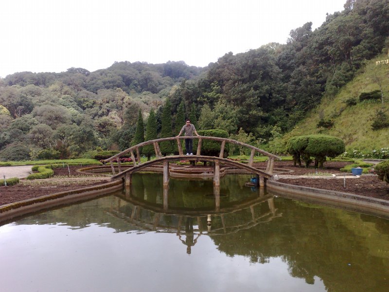 Day 3 - Doi Inthanon Mountain : Chiang Mai, Thailand (Nov'11) 14