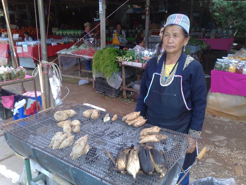 Exploring Doi Inthanon Mountain : Chiang Mai, Thailand (Nov'11) 18
