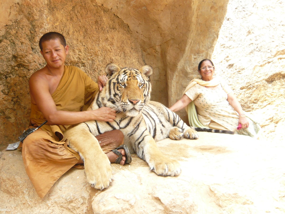 Day 7 - Visited Tiger Temple With Family : Kanchanaburi, Thailand (Mar'14) 13