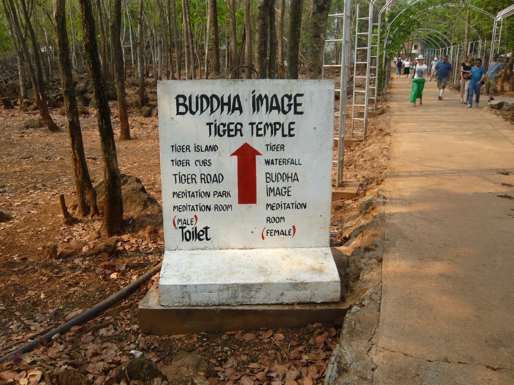 Day 7 - Visited Tiger Temple With Family : Kanchanaburi, Thailand (Mar'14) 5