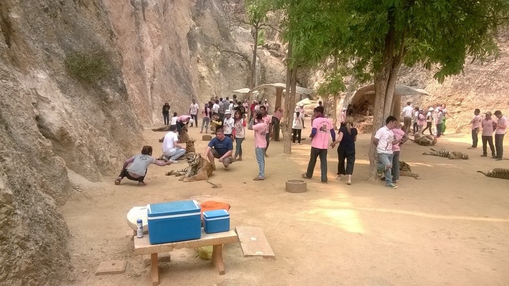 Day 7 - Visited Tiger Temple With Family : Kanchanaburi, Thailand (Mar'14) 6