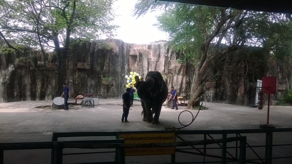 Day 6 - Visited Sriracha Zoo With Family : Sriracha, Thailand (Mar'14) 13