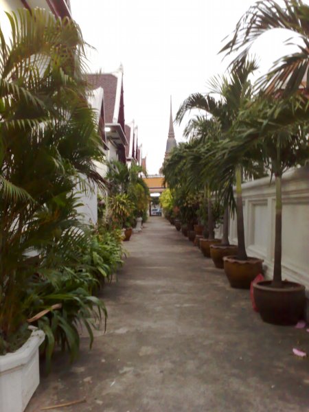 Exploring Wat Pho Temple : Bangkok, Thailand (Jan'09) 2