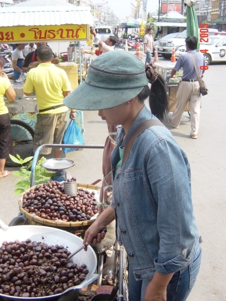 Day 3 - One Day Golden Triangle Tour : Chiang Mai, Thailand (Apr'05) 4