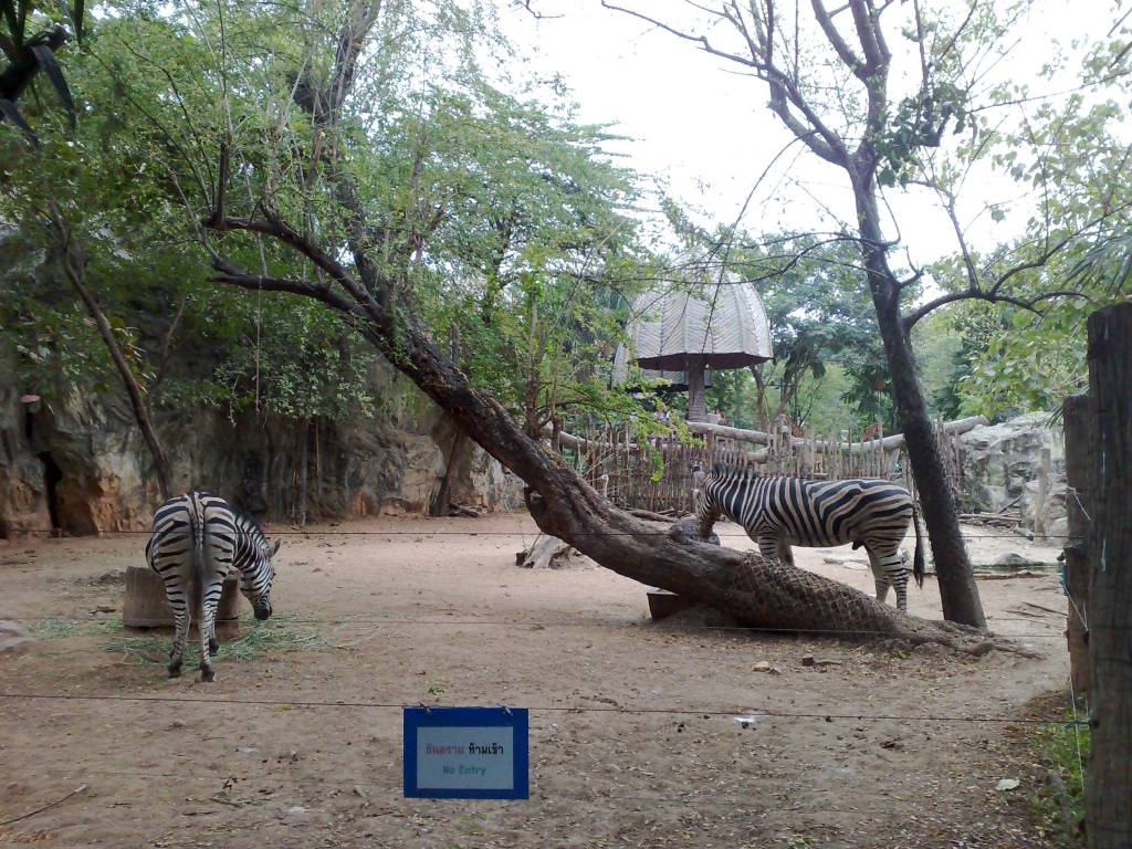 Exploring Dusit Zoo : Bangkok, Thailand (Jan'09) 7