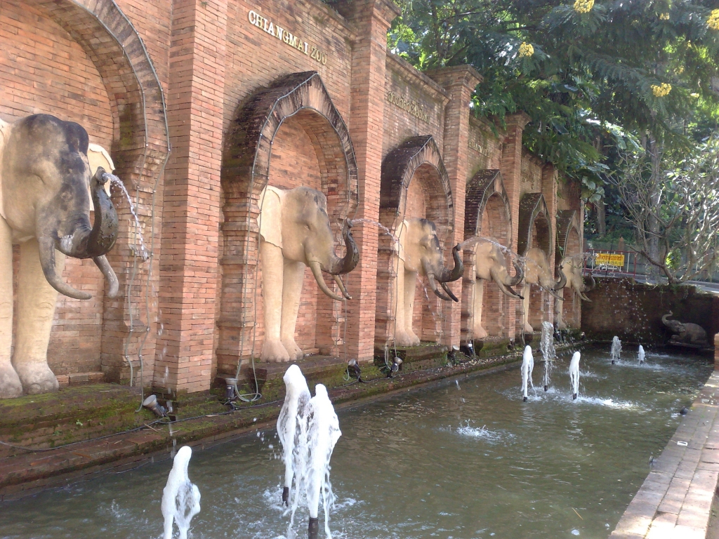 Exploring Chiang Mai Zoo : Thailand (Nov'11) 14