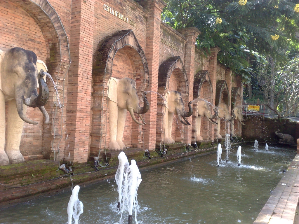 Day 2 - Visited Chiang Mai Zoo On My Birthday : Thailand (Nov'11) 14