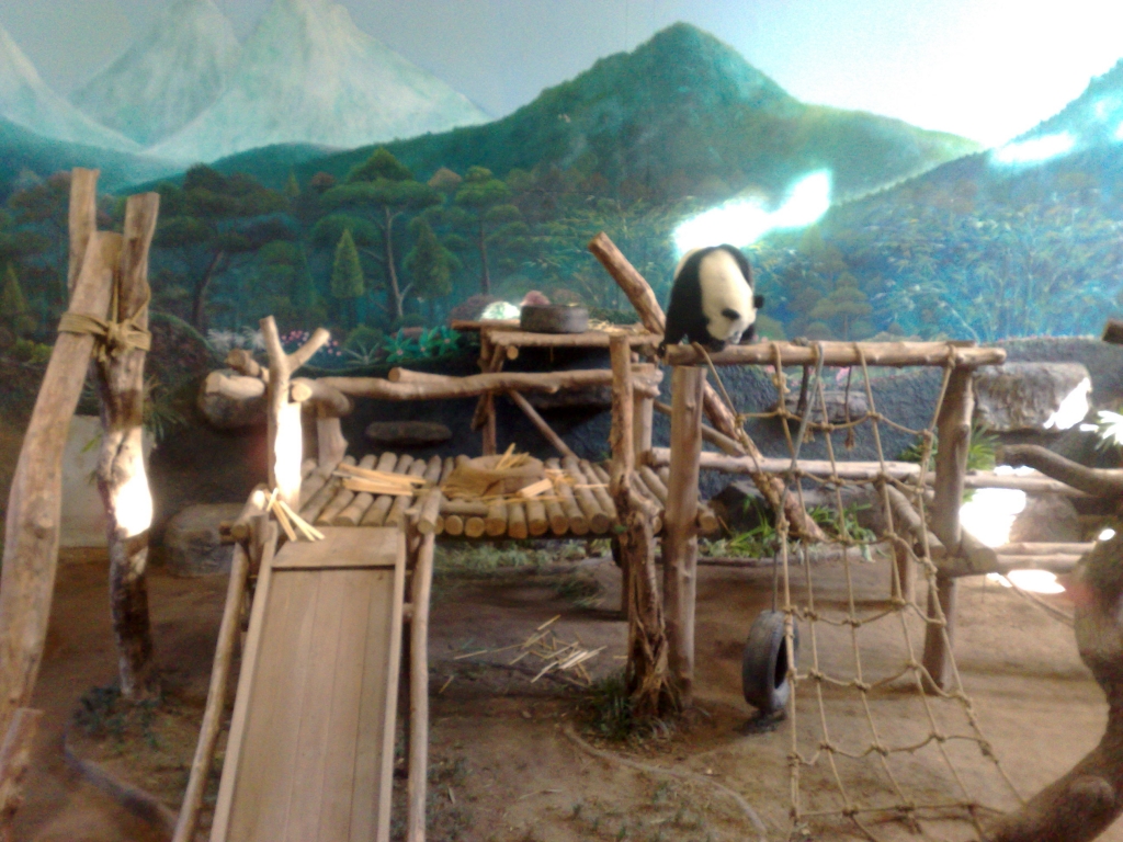 Exploring Chiang Mai Zoo : Thailand (Nov'11) 7