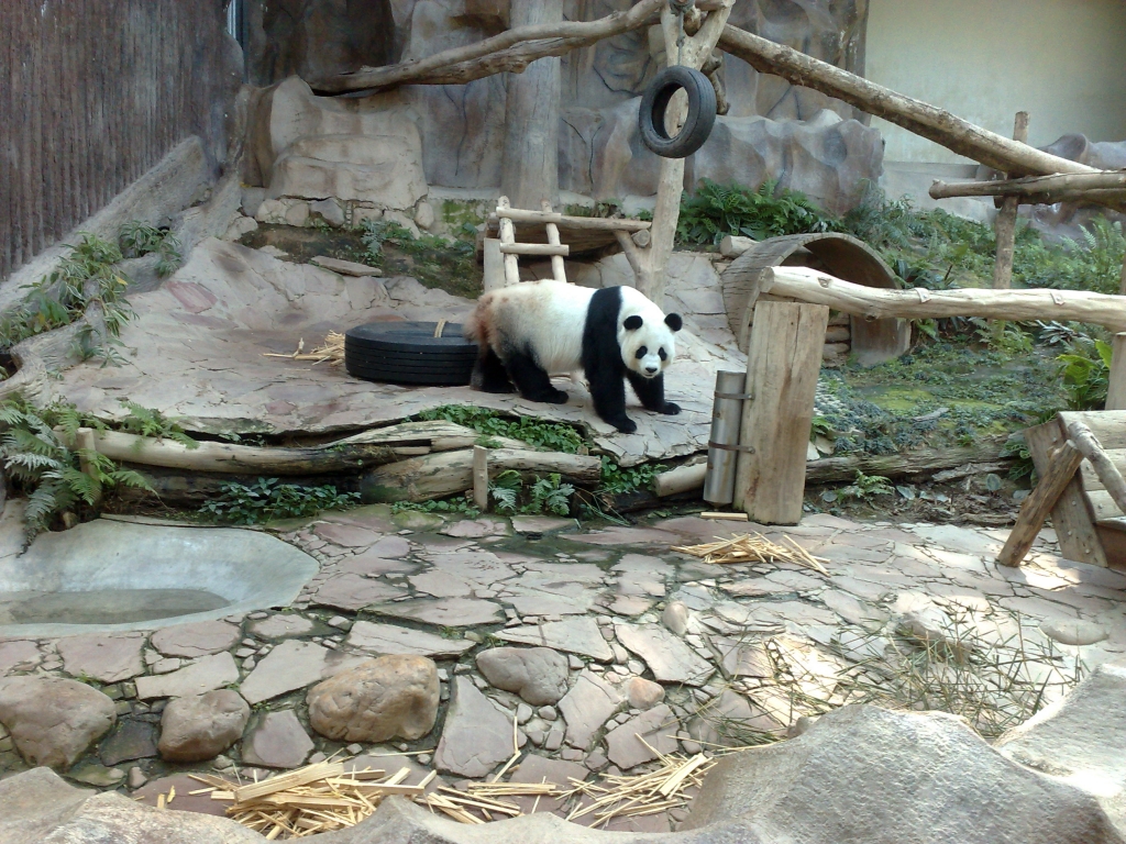 Day 2 - Visited Chiang Mai Zoo On My Birthday : Thailand (Nov'11) 6