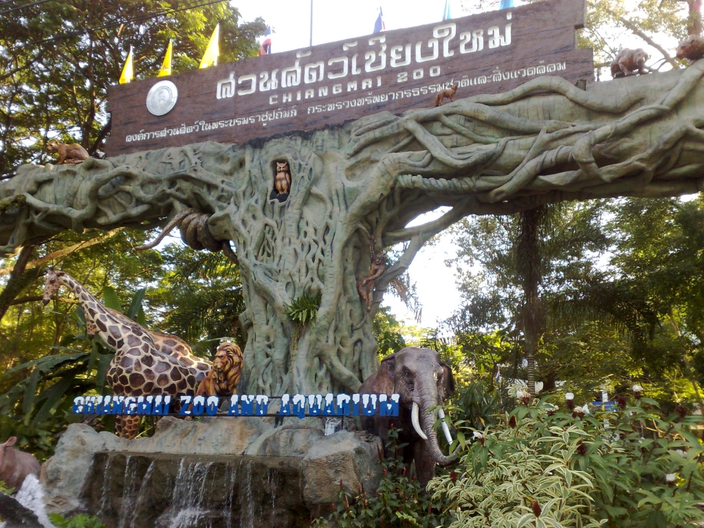 Exploring Chiang Mai Zoo : Thailand (Nov'11) 3