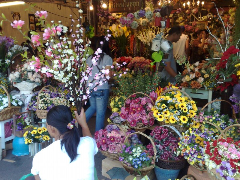 Exploring Chatuchak Market : Bangkok, Thailand (Jan'09) 8