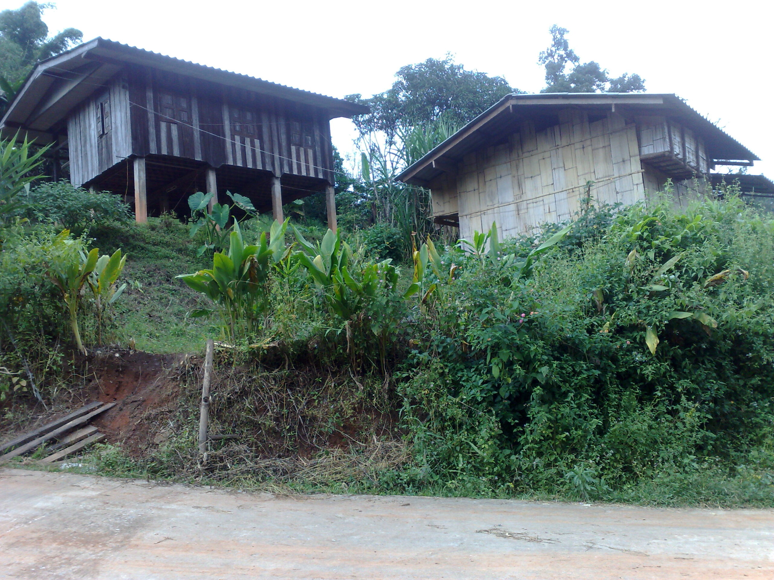 Day 4 - Visited Kirimaya Paradise Ecotourism : Chiang Mai, Thailand (Nov'11) 13