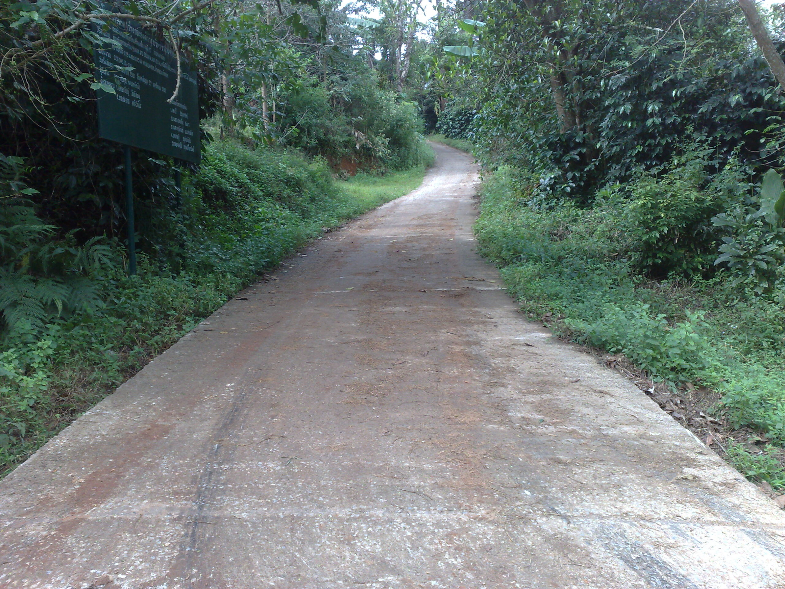 Day 4 - Visited Kirimaya Paradise Ecotourism : Chiang Mai, Thailand (Nov'11) 14