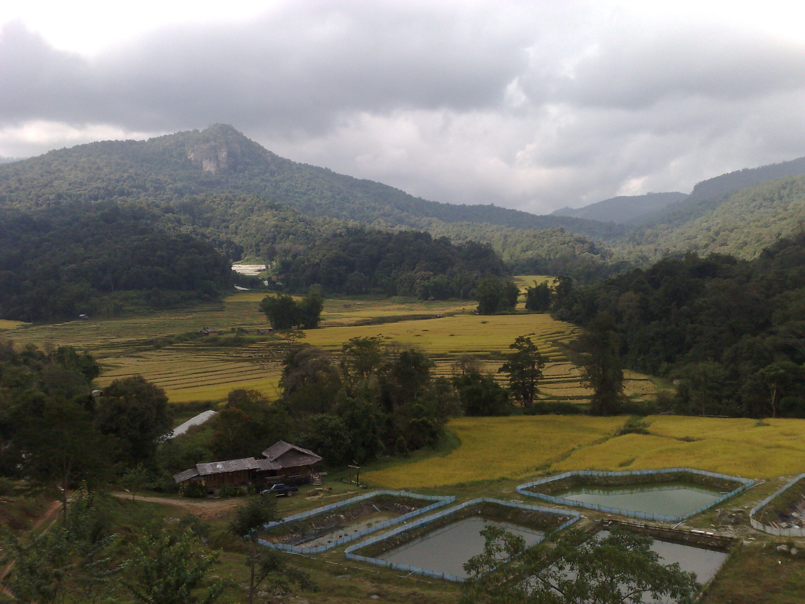 Exploring Kirimaya Paradise Ecotourism : Chiang Mai, Thailand (Nov'11) 9