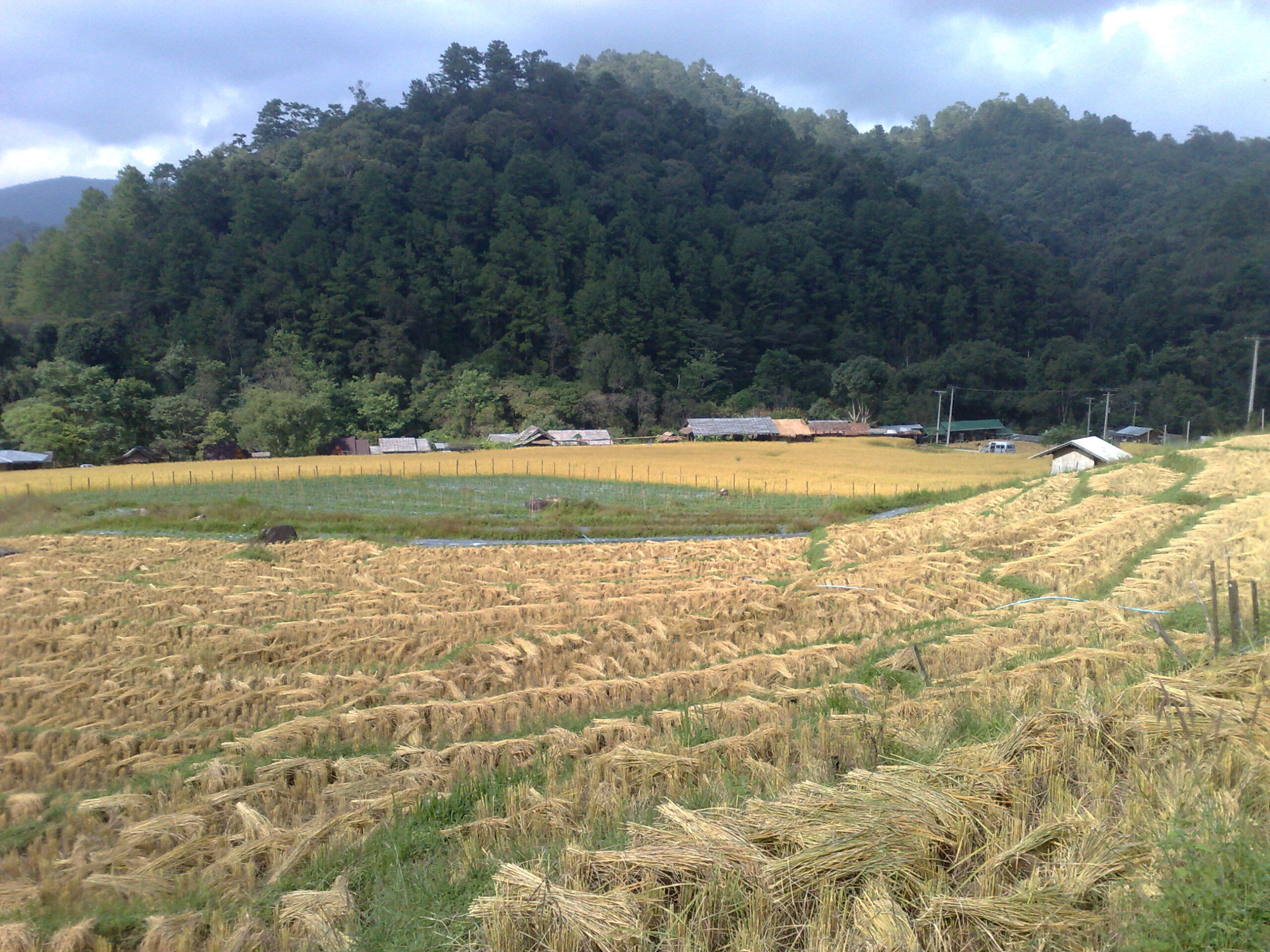 Day 4 - Visited Kirimaya Paradise Ecotourism : Chiang Mai, Thailand (Nov'11) 28