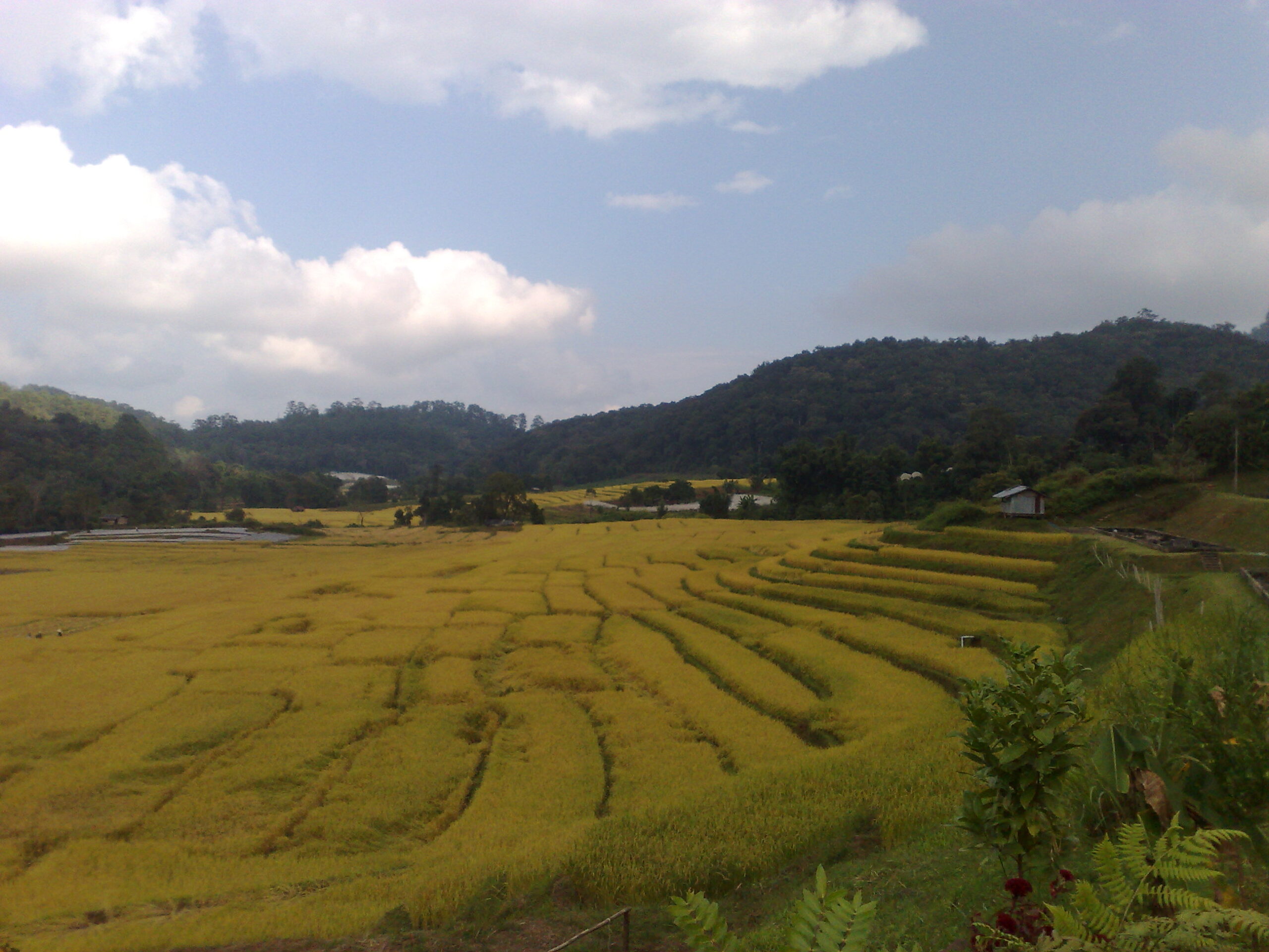 Day 4 - Visited Kirimaya Paradise Ecotourism : Chiang Mai, Thailand (Nov'11) 15