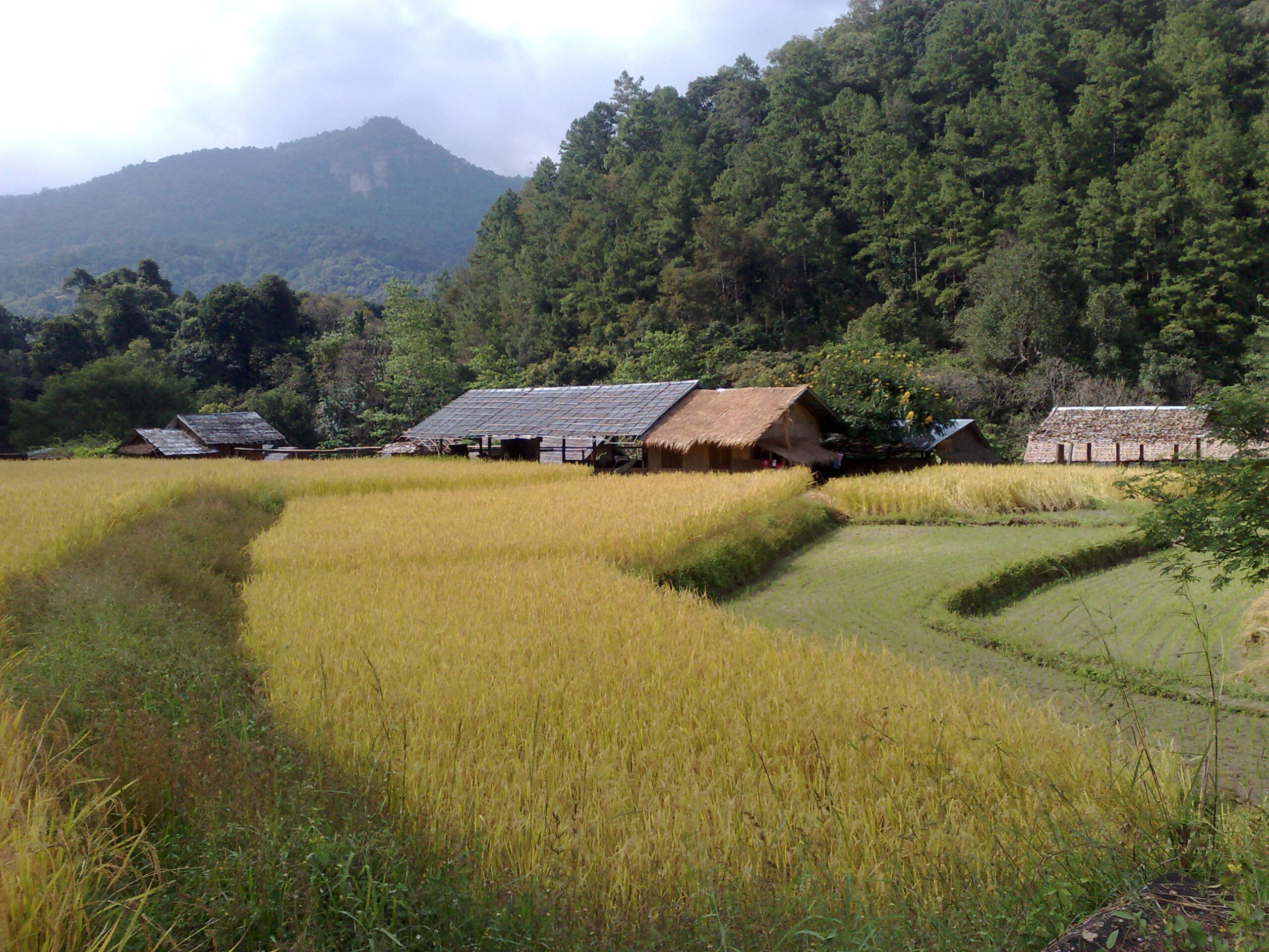 Day 4 - Visited Kirimaya Paradise Ecotourism : Chiang Mai, Thailand (Nov'11) 23