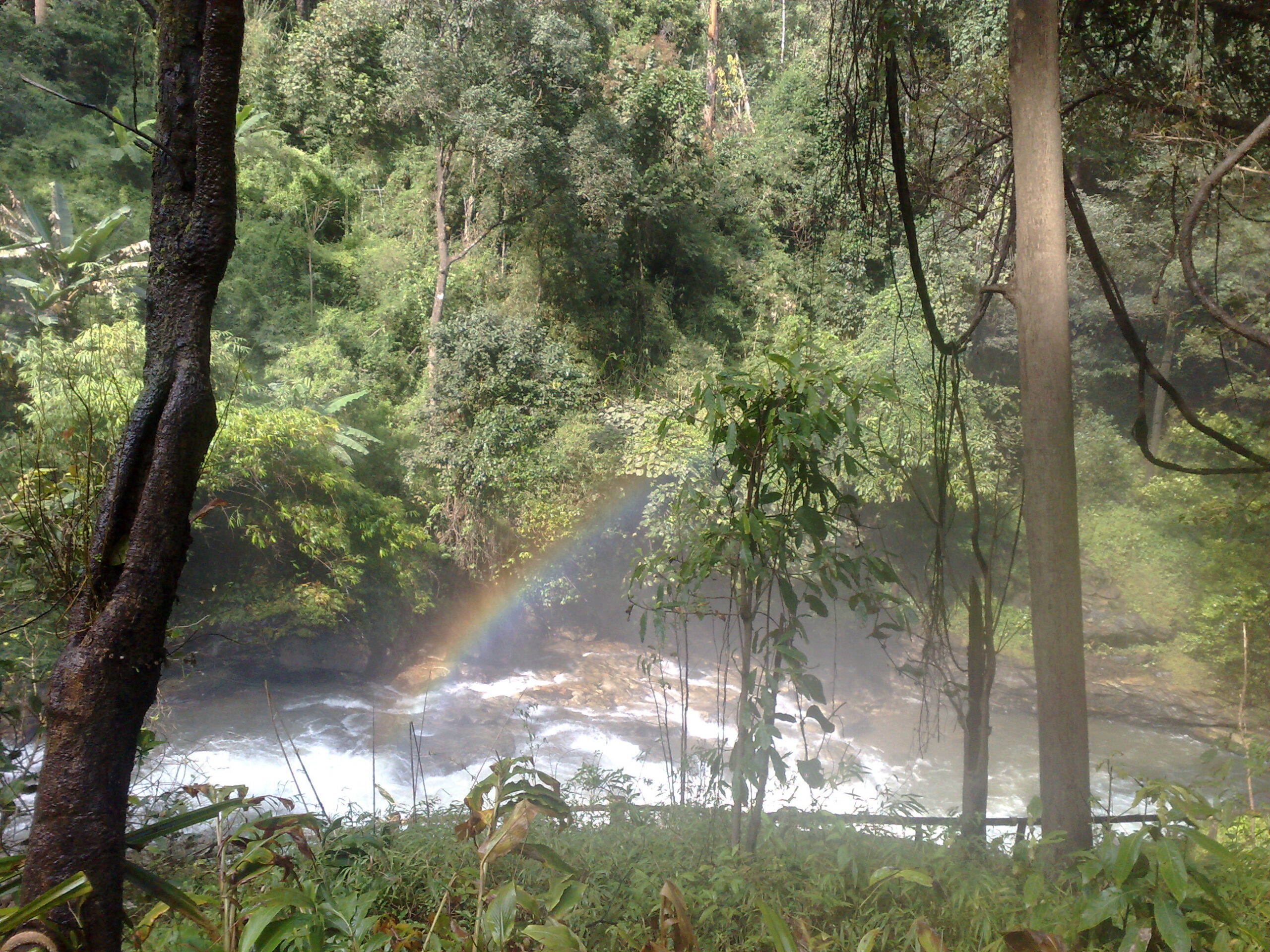 Day 4 - Visited Kirimaya Paradise Ecotourism : Chiang Mai, Thailand (Nov'11) 18