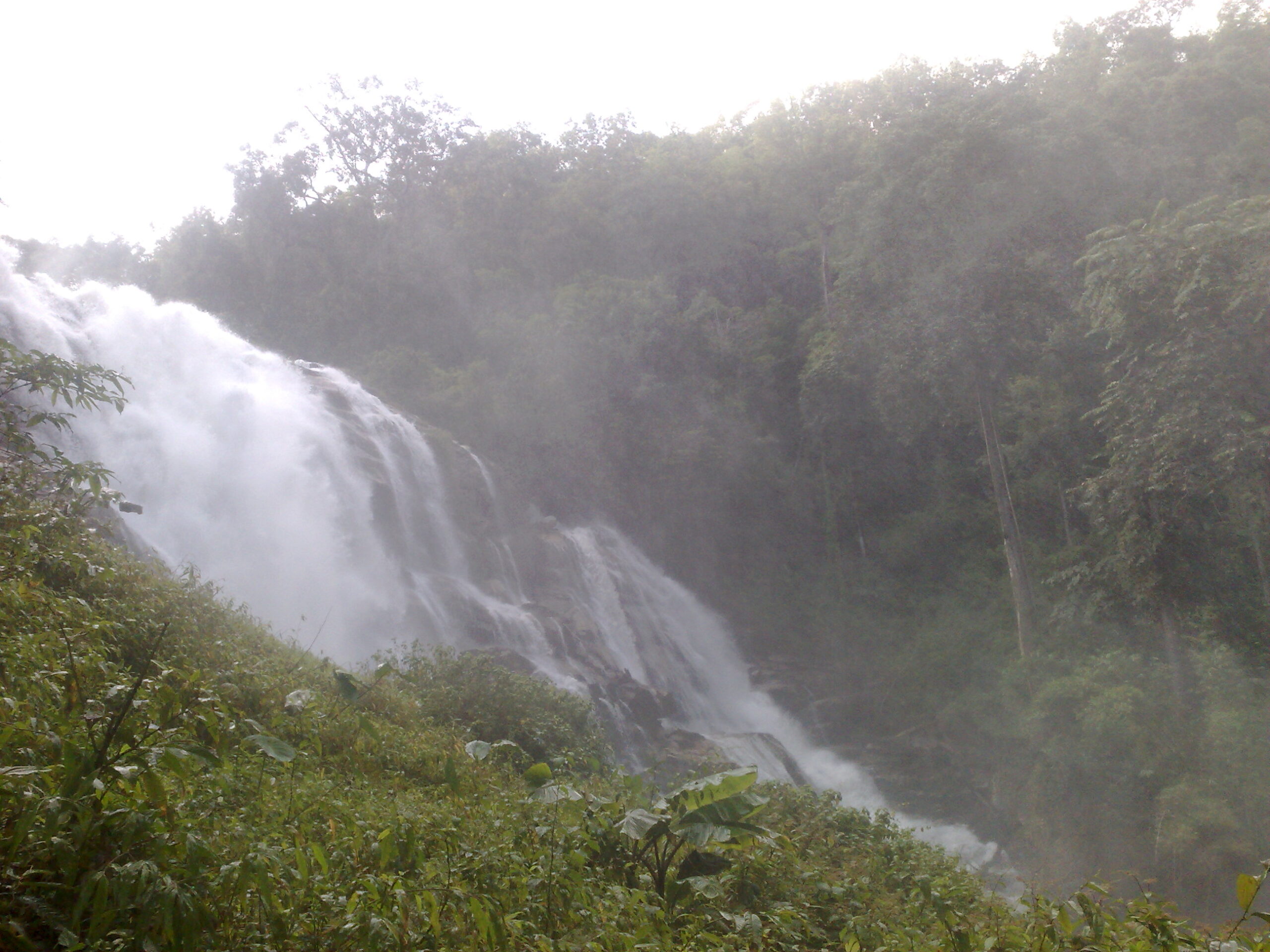 Day 4 - Visited Kirimaya Paradise Ecotourism : Chiang Mai, Thailand (Nov'11) 24