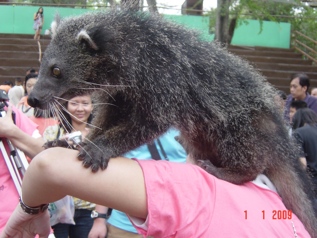Exploring Dusit Zoo : Bangkok, Thailand (Jan'09) 16