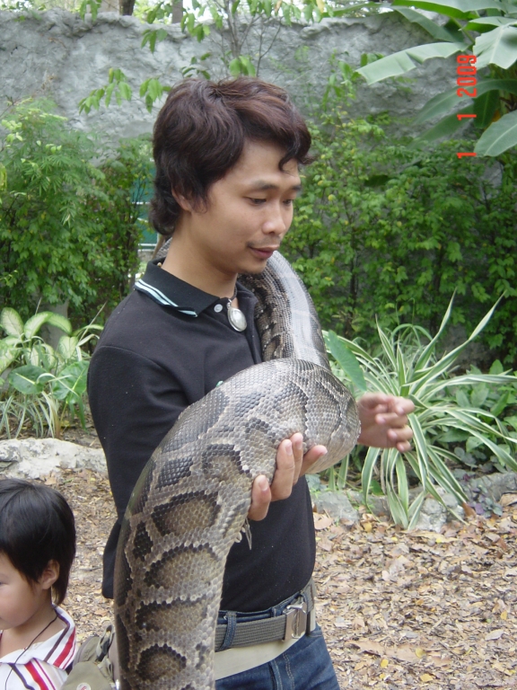 Exploring Dusit Zoo : Bangkok, Thailand (Jan'09) 20