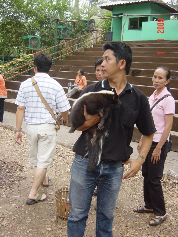Exploring Dusit Zoo : Bangkok, Thailand (Jan'09) 21
