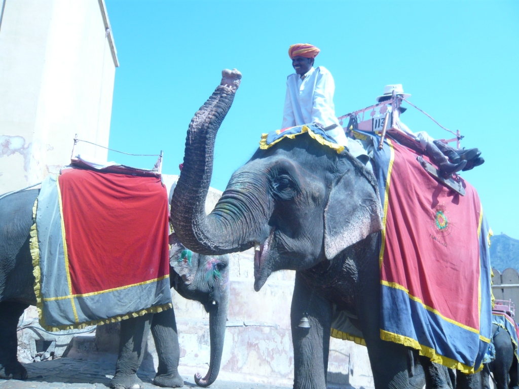 Exploring Amber Fort : Jaipur, India (Mar'11) 22