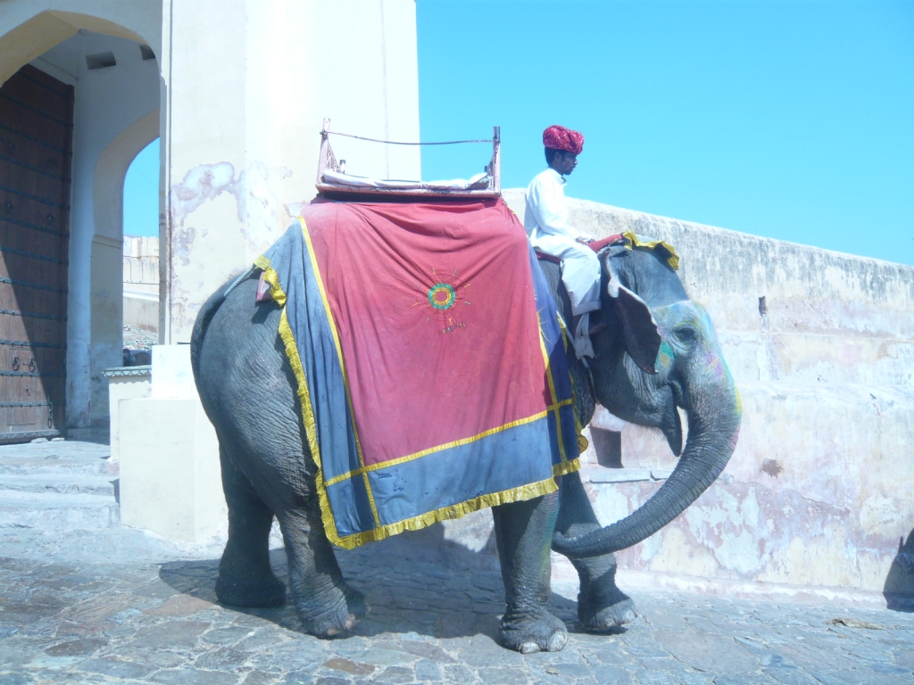 Exploring Amber Fort : Jaipur, India (Mar'11) 7