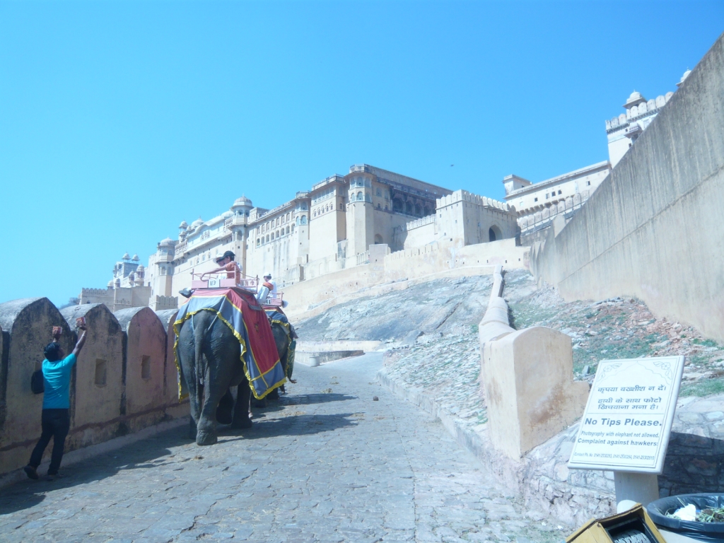 Exploring Amber Fort : Jaipur, India (Mar'11) 9