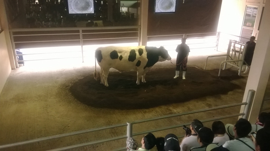 Day 2 - Visited Chokchai Farm With Family : Nakhon Ratchasima, Thailand (Mar'14) 12