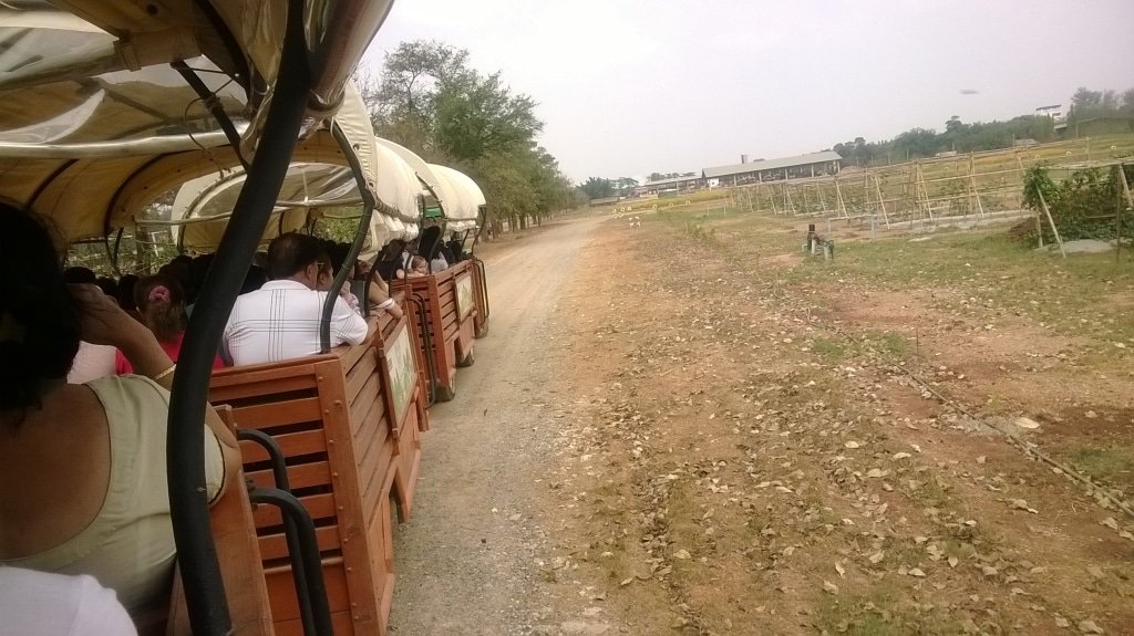 Exploring Chokchai Farm : Nakhon Ratchasima, Thailand (Mar'14) 22
