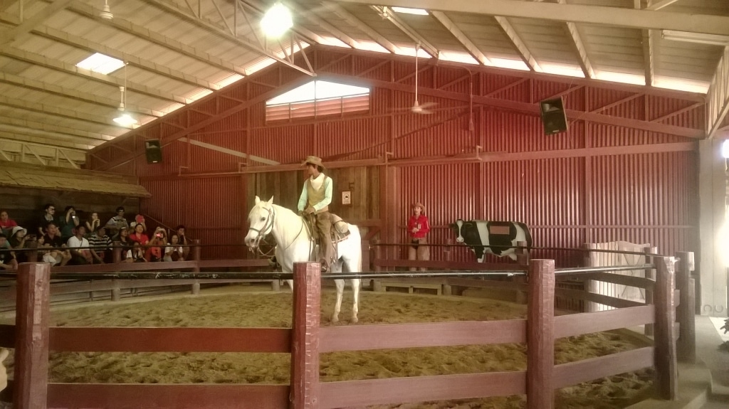 Exploring Chokchai Farm : Nakhon Ratchasima, Thailand (Mar'14) 13