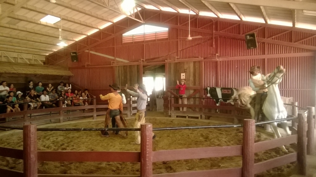 Day 2 - Visited Chokchai Farm With Family : Nakhon Ratchasima, Thailand (Mar'14) 28