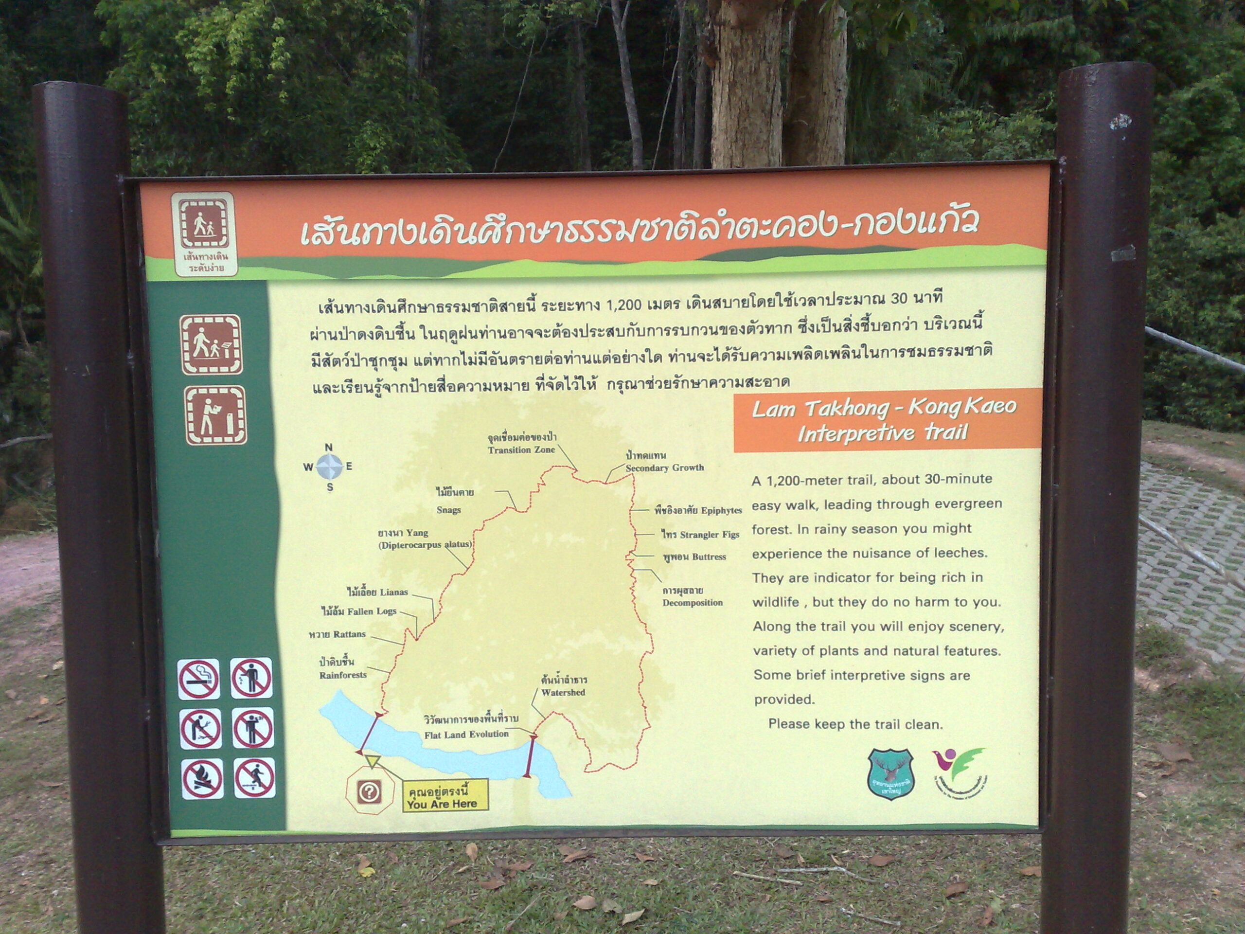 Exploring Chokchai Farm : Nakhon Ratchasima, Thailand (Apr'08) 14
