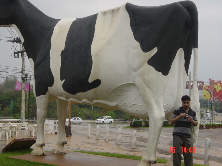 Day Trip To Chokchai Farm : Nakhon Ratchasima, Thailand (Apr’08)