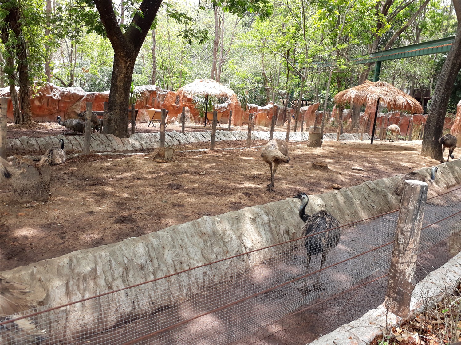 Exploring Chiang Mai Zoo, Chiang Mai : Thailand (Apr'17) 5