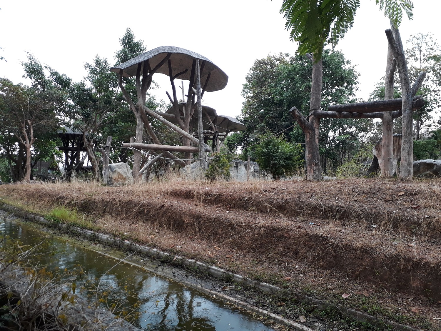 Day 4 - One Day Visit To Chiang Mai Zoo : Thailand (Apr'17) 11